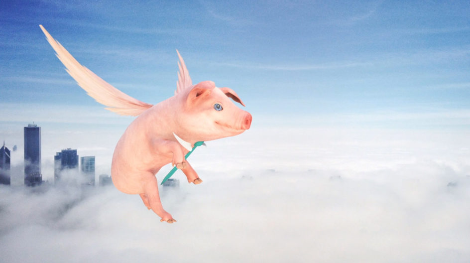 3D Flying Pig Animation Still