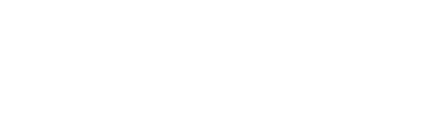BlinkInk Animation Studio Logo White