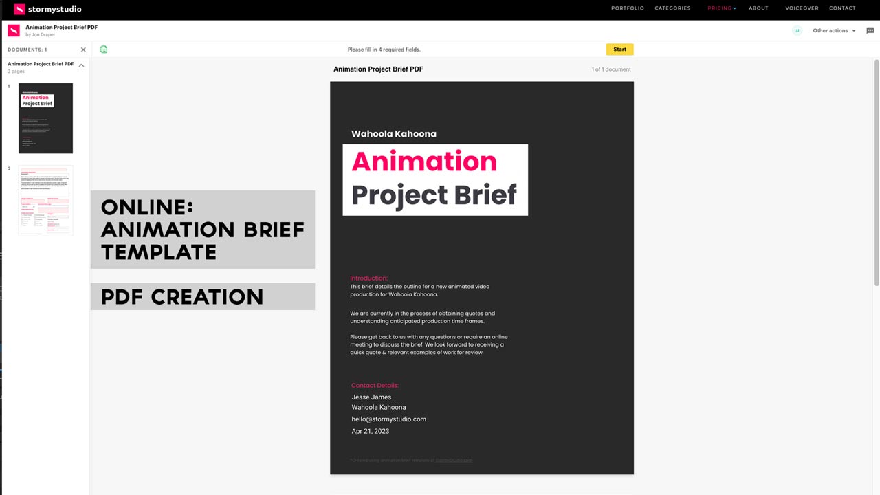 animation brief template